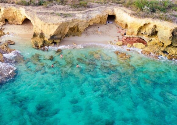 Exquisite Taxi & VIP Services – Taxi 421