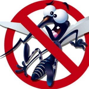 Dengue Mosquito