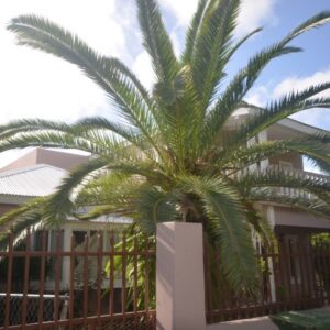 Large Family Home For Sale in Retreat Estate St. Maarten