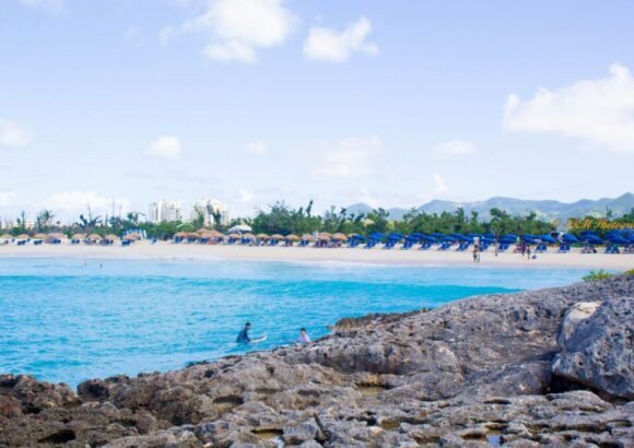 Exquisite Taxi & VIP Services – Taxi 421