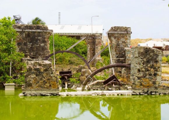 Exquisite Taxi & VIP Services – Taxi 421