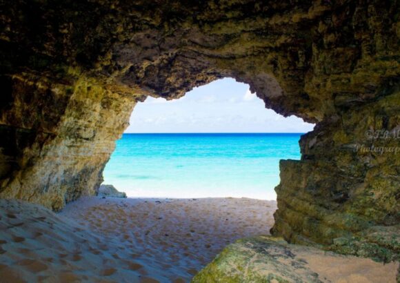 Exquisite Taxi & VIP Services – Taxi 421