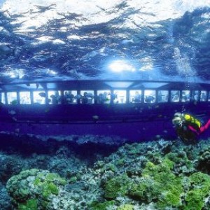 Seaworld Explorer Submersible